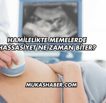 Hamilelikte Memelerde Hassasiyet Ne Zaman Biter?