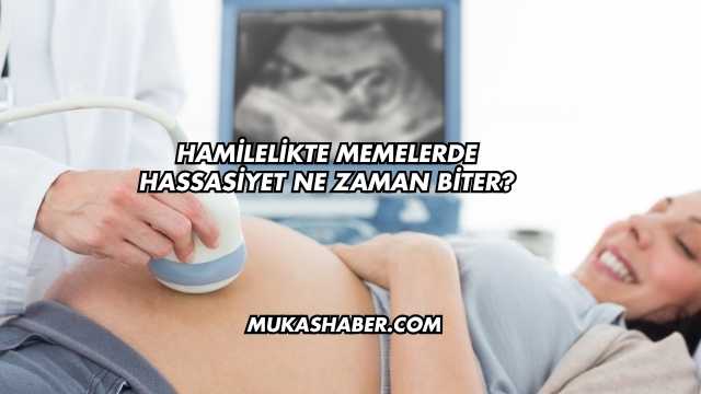 Hamilelikte Memelerde Hassasiyet Ne Zaman Biter?