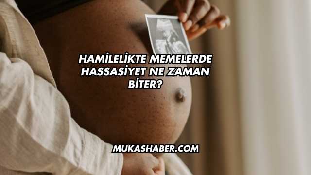 Hamilelikte Memelerde Hassasiyet Ne Zaman Biter?