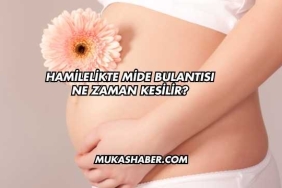 Hamilelikte Mide Bulantısı Ne Zaman Kesilir