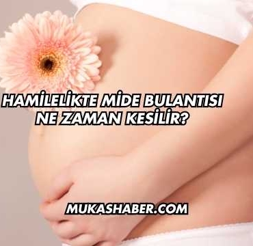 Hamilelikte Mide Bulantısı Ne Zaman Kesilir