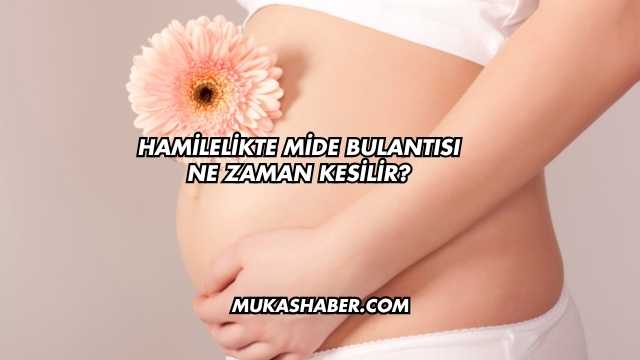 Hamilelikte Mide Bulantısı Ne Zaman Kesilir