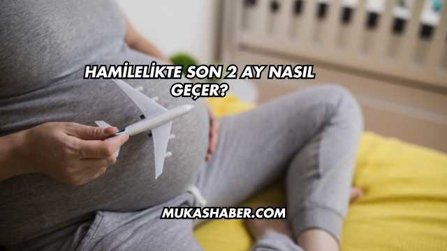 Hamilelikte Son 2 Ay Nasıl Geçer?