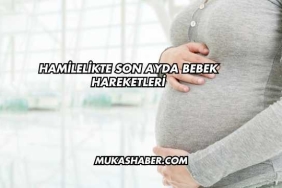 Hamilelikte Son Ayda Bebek Hareketleri