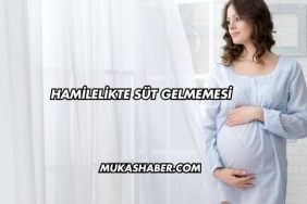 Hamilelikte Süt Gelmemesi
