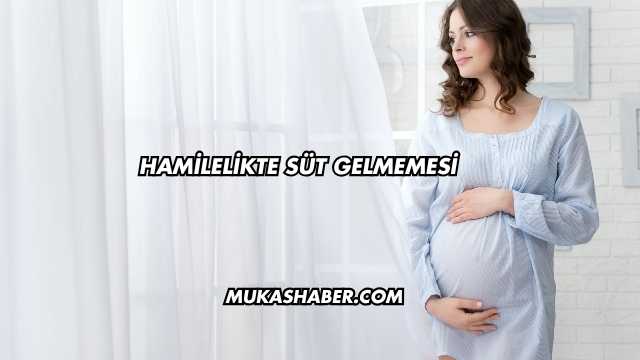 Hamilelikte Süt Gelmemesi