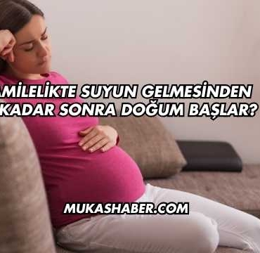Hamilelikte Suyun Gelmesinden Ne Kadar Sonra Doğum Başlar?