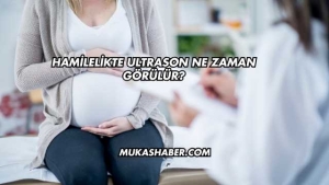 Hamilelikte Ultrason Ne Zaman Görülür?