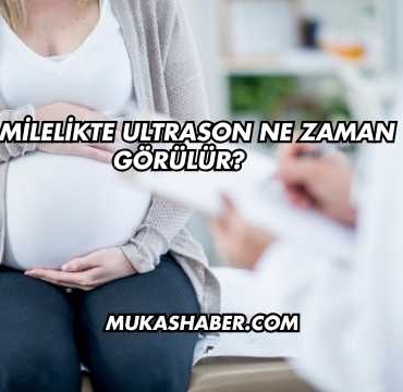 Hamilelikte Ultrason Ne Zaman Görülür?