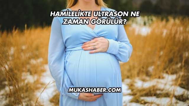 Hamilelikte Ultrason Ne Zaman Görülür?