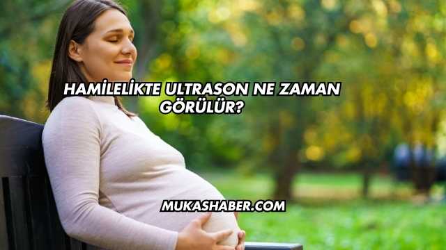 Hamilelikte Ultrason Ne Zaman Görülür?