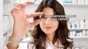 Hangi Bitkiden Hangi İlaç Yapılır?
