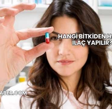 Hangi Bitkiden Hangi İlaç Yapılır?