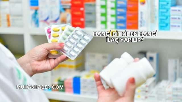 Hangi Bitkiden Hangi İlaç Yapılır?