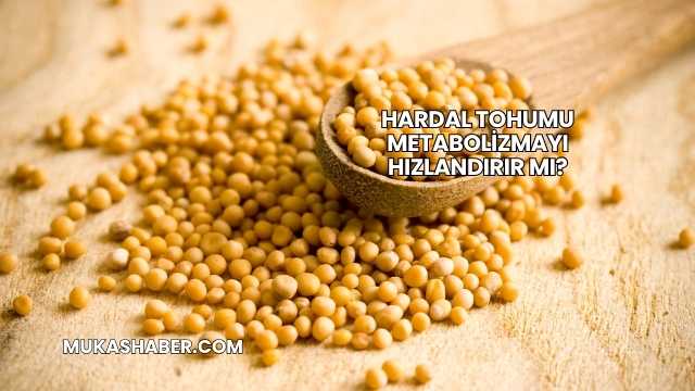 Hardal Tohumu Metabolizmayı Hızlandırır mı?