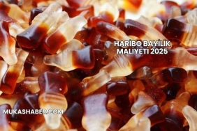 Haribo Bayilik Maliyeti 2025