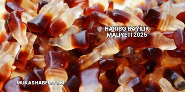 Haribo Bayilik Maliyeti 2025
