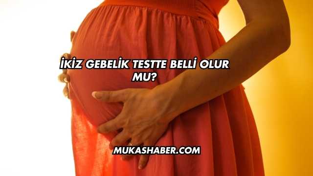 İkiz Gebelik Testte Belli Olur mu?