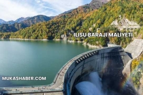 Ilısu Barajı Maliyeti