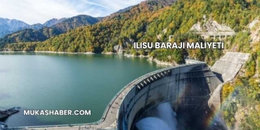 Ilısu Barajı Maliyeti