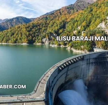 Ilısu Barajı Maliyeti
