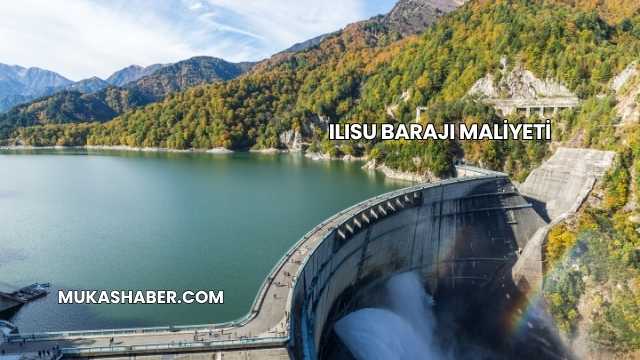 Ilısu Barajı Maliyeti