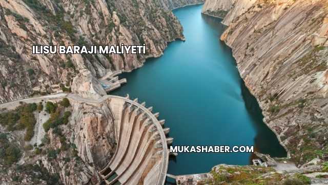 Ilısu Barajı Maliyeti