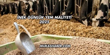 İnek Günlük Yem Maliyeti 2025