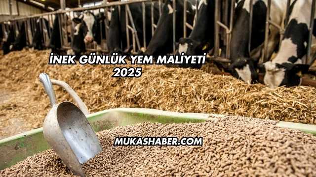 İnek Günlük Yem Maliyeti 2025
