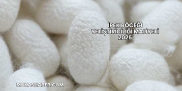 İpek Böceği Yetiştiriciliği Maliyeti 2025