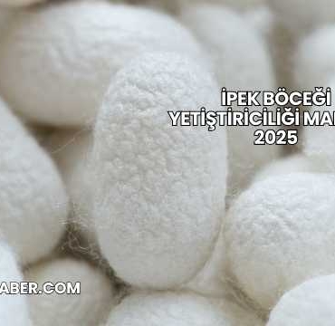 İpek Böceği Yetiştiriciliği Maliyeti 2025