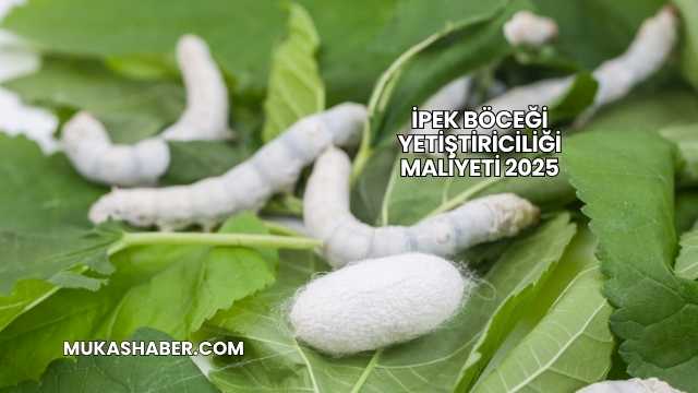 İpek Böceği Yetiştiriciliği Maliyeti 2025