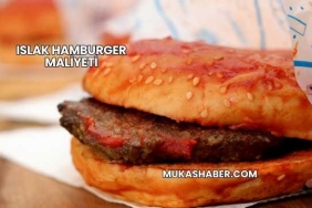 Islak Hamburger Maliyeti