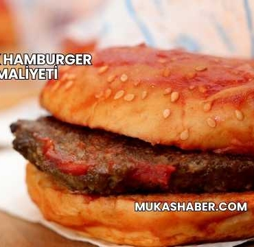 Islak Hamburger Maliyeti