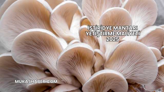 İstiridye Mantarı Yetiştirme Maliyeti 2025