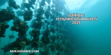 İstiridye Yetiştiriciliği Maliyeti 2025
