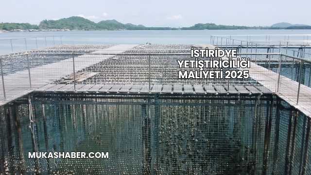 İstiridye Yetiştiriciliği Maliyeti 2025