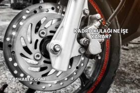 Kadro Kulağı Ne İşe Yarar?