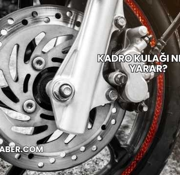 Kadro Kulağı Ne İşe Yarar?