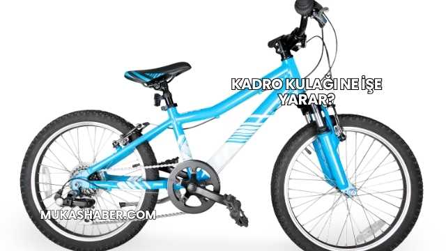 Kadro Kulağı Ne İşe Yarar?