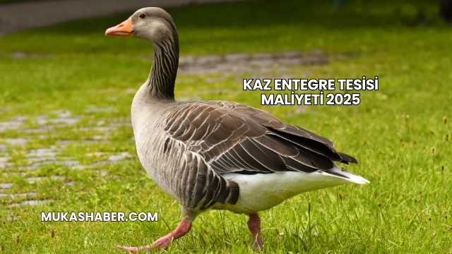 Kaz Entegre Tesisi Maliyeti 2025