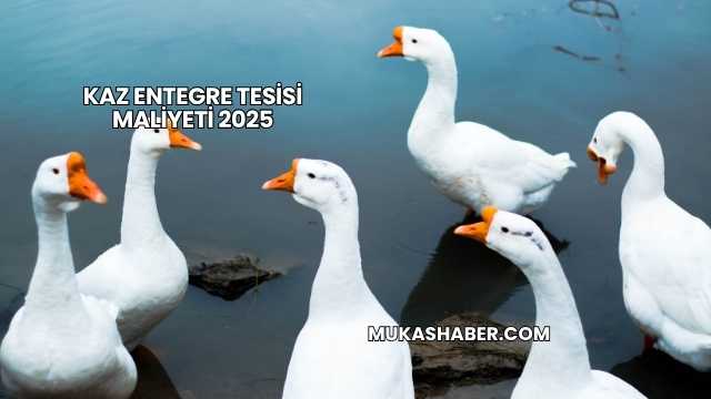 Kaz Entegre Tesisi Maliyeti 2025