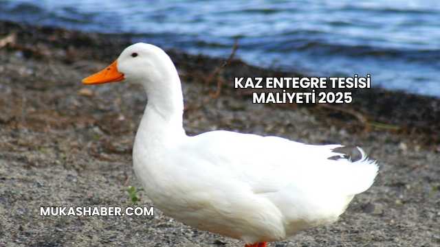 Kaz Entegre Tesisi Maliyeti 2025