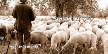 Kepenek Ne İşe Yarar?