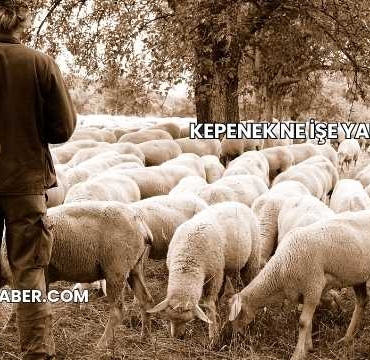 Kepenek Ne İşe Yarar?