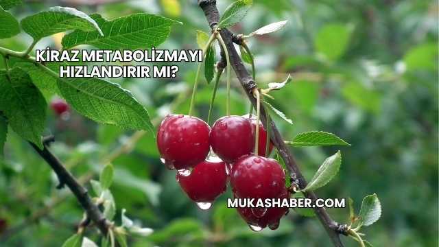 Kiraz Metabolizmayı Hızlandırır mı?