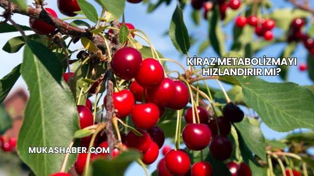 Kiraz Metabolizmayı Hızlandırır mı?