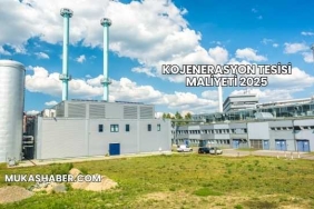 Kojenerasyon Tesisi Maliyeti 2025