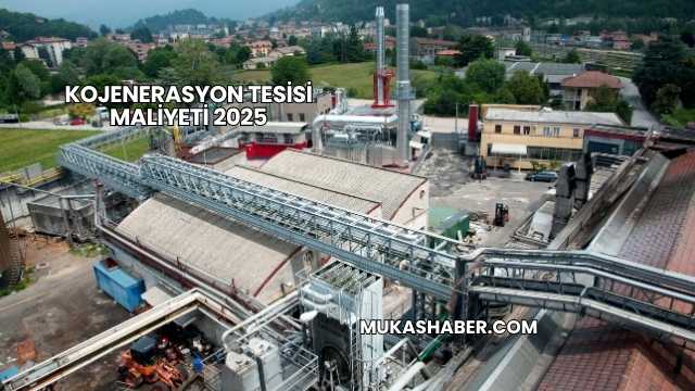 Kojenerasyon Tesisi Maliyeti 2025