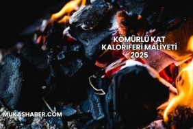 Kömürlü Kat Kaloriferi Maliyeti 2025